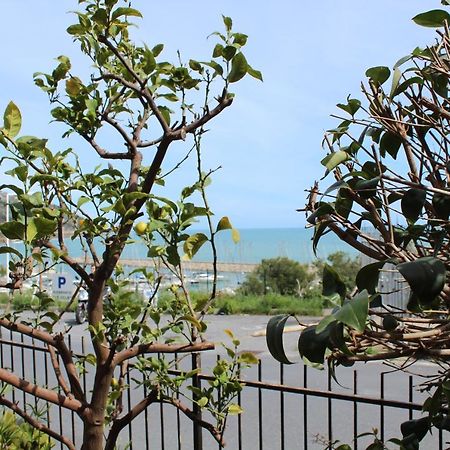 Froggy House Villa San Lorenzo al Mare Kültér fotó