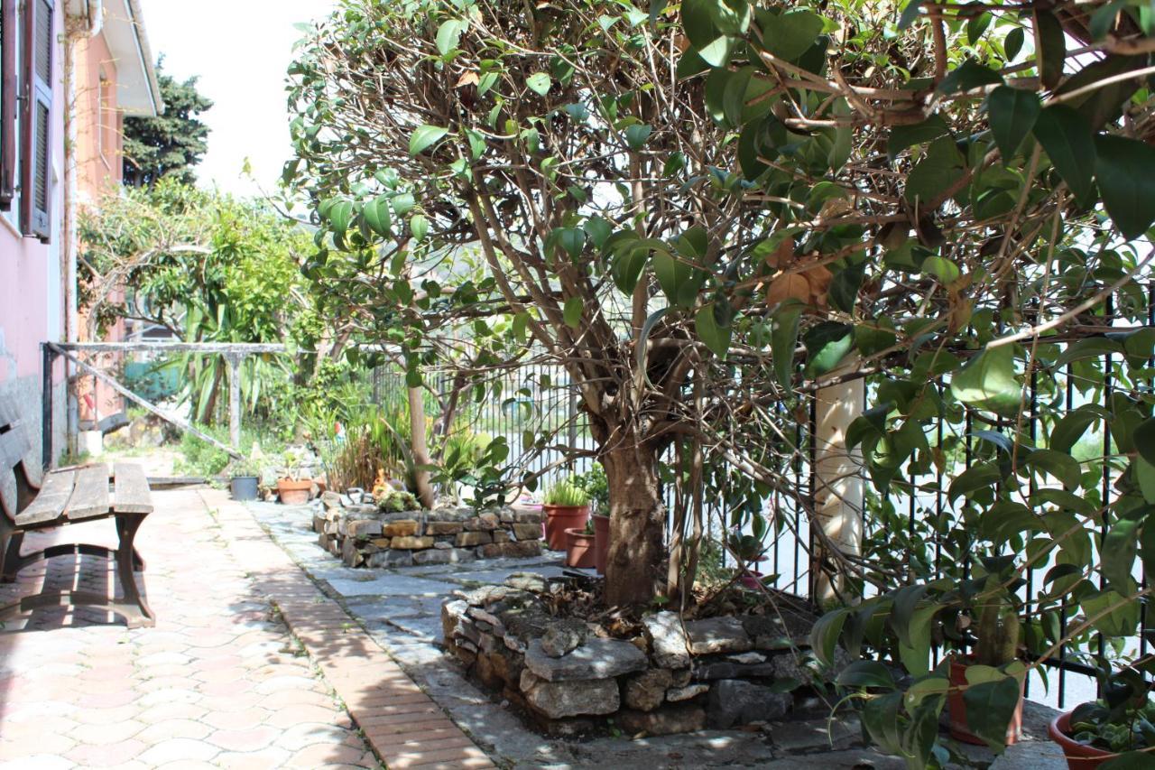 Froggy House Villa San Lorenzo al Mare Kültér fotó